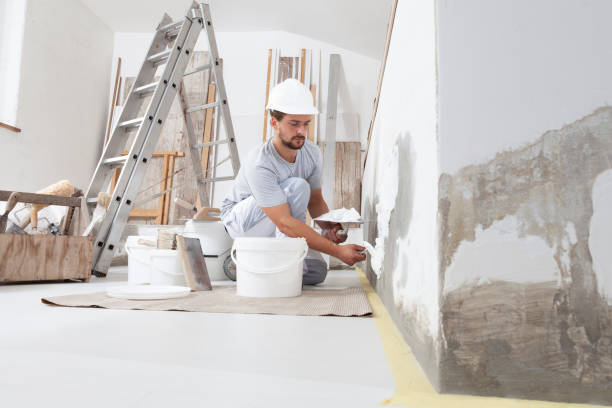 Best Residential Painting  in Le Mars, IA